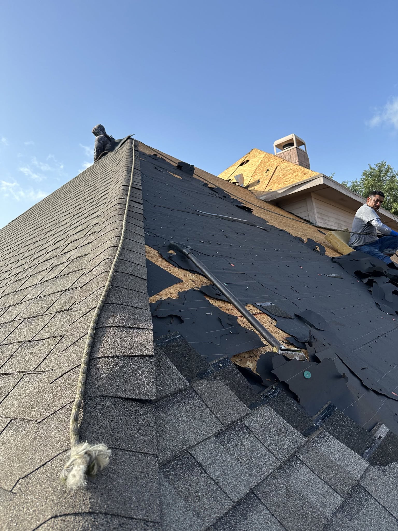 Tx Platinum Construction